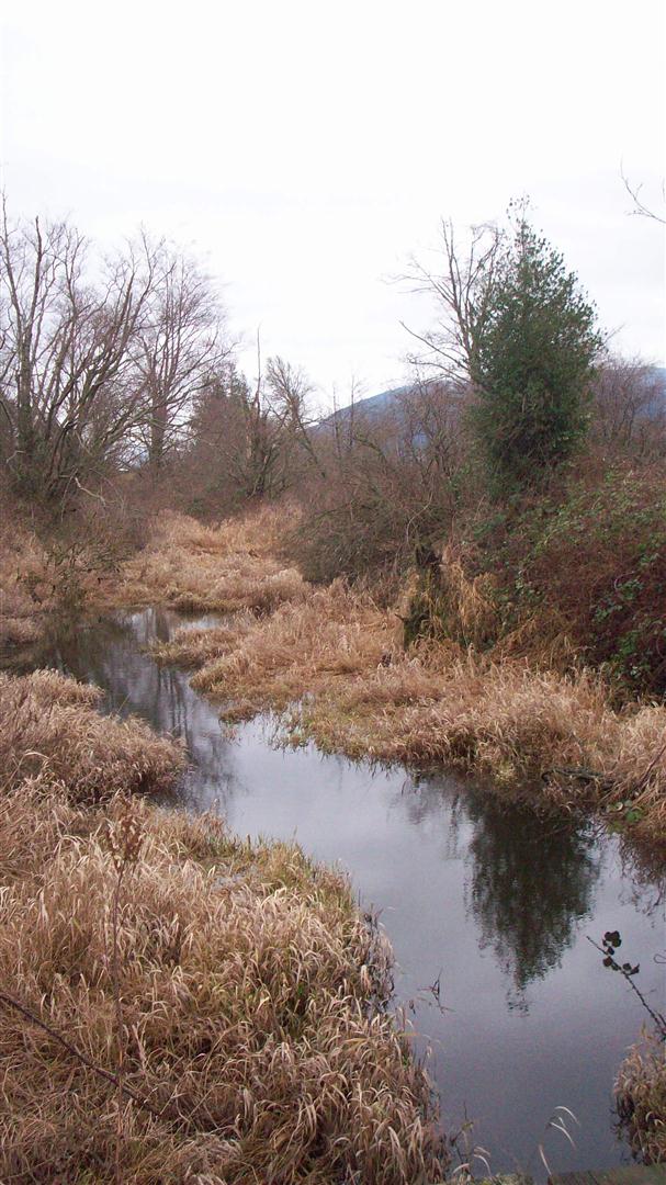 Wiseman Creek at Utopia Wiseman Creek at Utopia