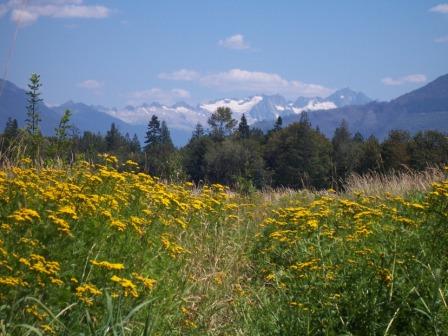 barrcreekmountainview.JPG barrcreekmountainview.JPG