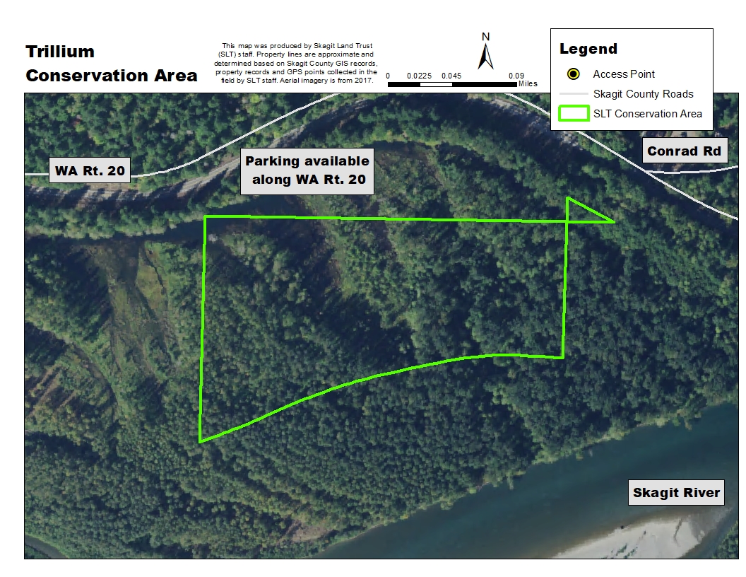 Aerial map of Washington Eddy Conservation Area. Map created by Skagit Land Trust staff.