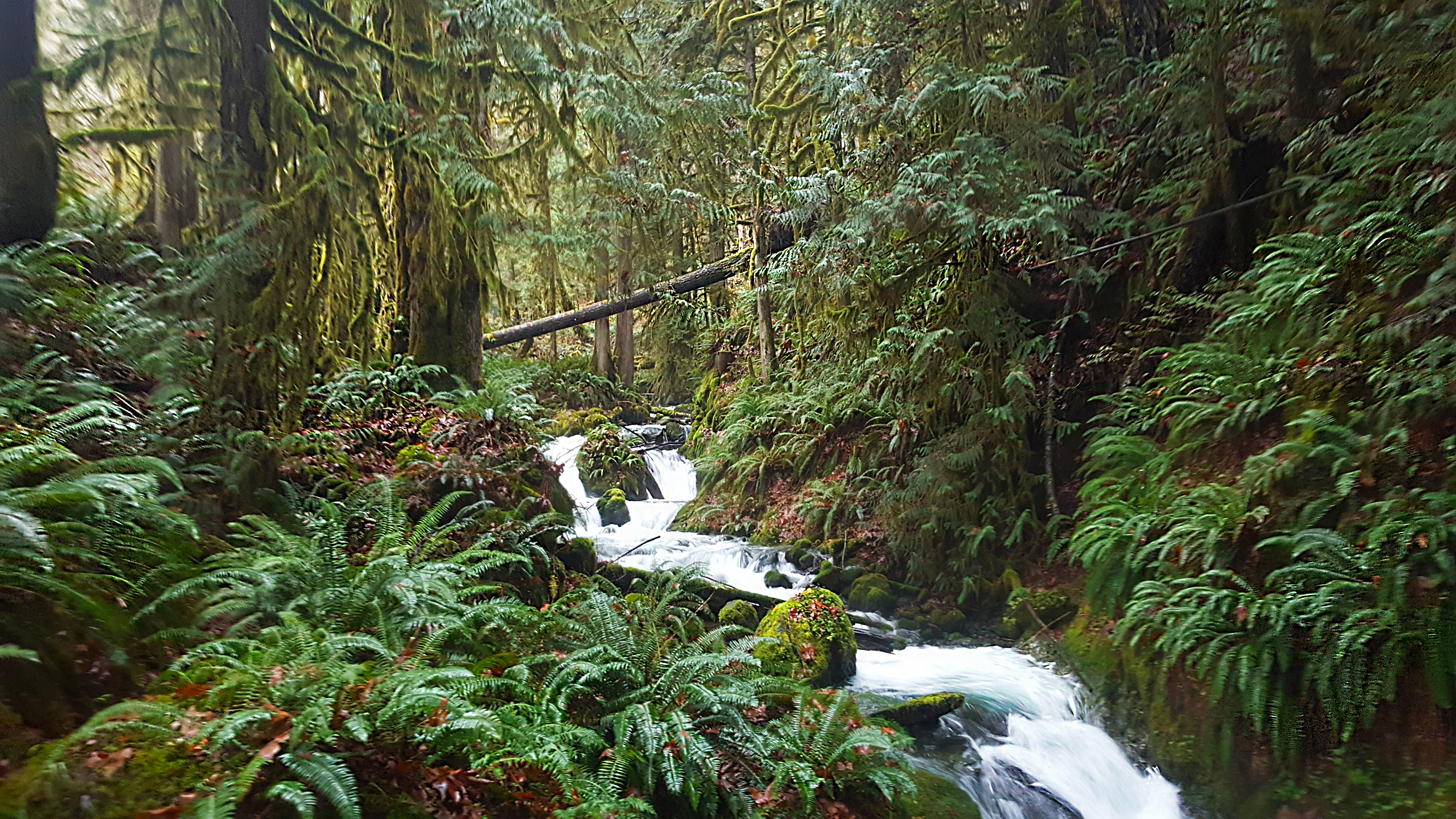 Barr Creek Conservation Area