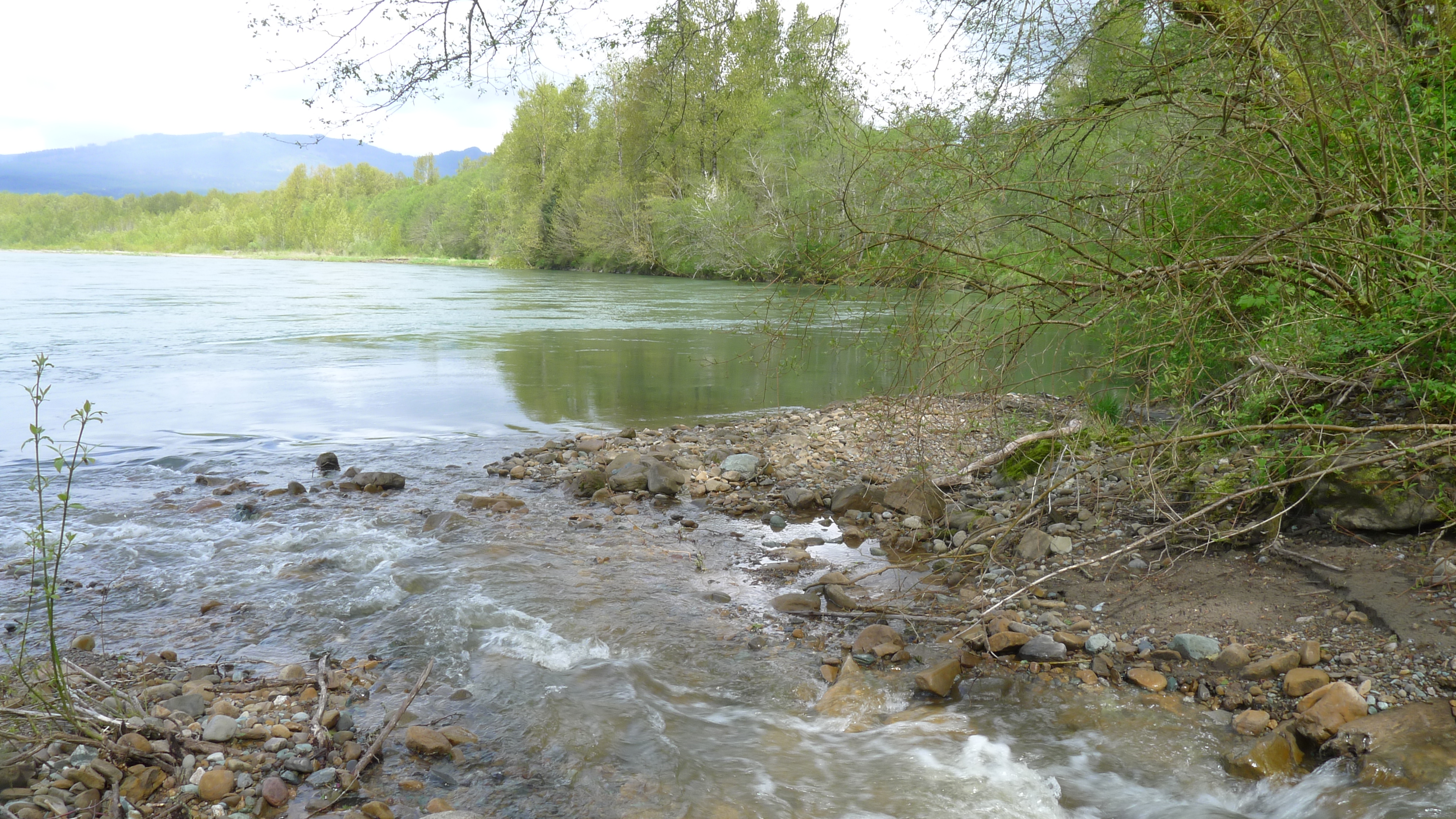 Cumberland Creek flows into Skagit