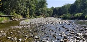 Gravel bars at Day Creek, just off the Skagit River.