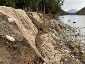 Live Fascine and erosion control fabric installed along the Sauk River. The large pieces of concrete are from an old home foundation that was removed before Skagit Land Trust’s involvement.