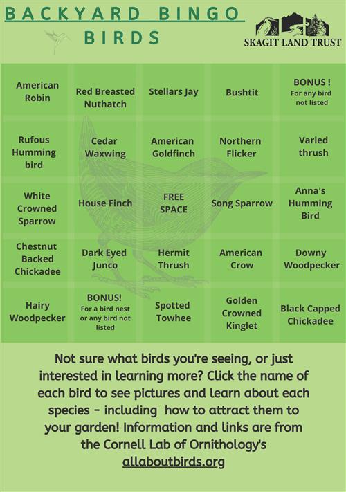 Backyard Bird Bingo