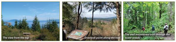 Guemes Trail