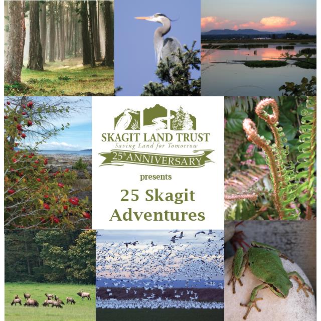 25 Skagit Adventures