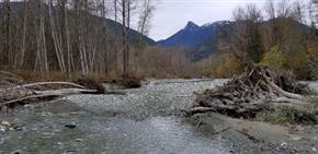 Side channel on Diobsud Creek that provides spawning and rearing habitat for native fish.