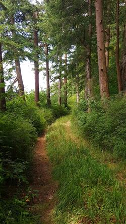 Trail to Beach