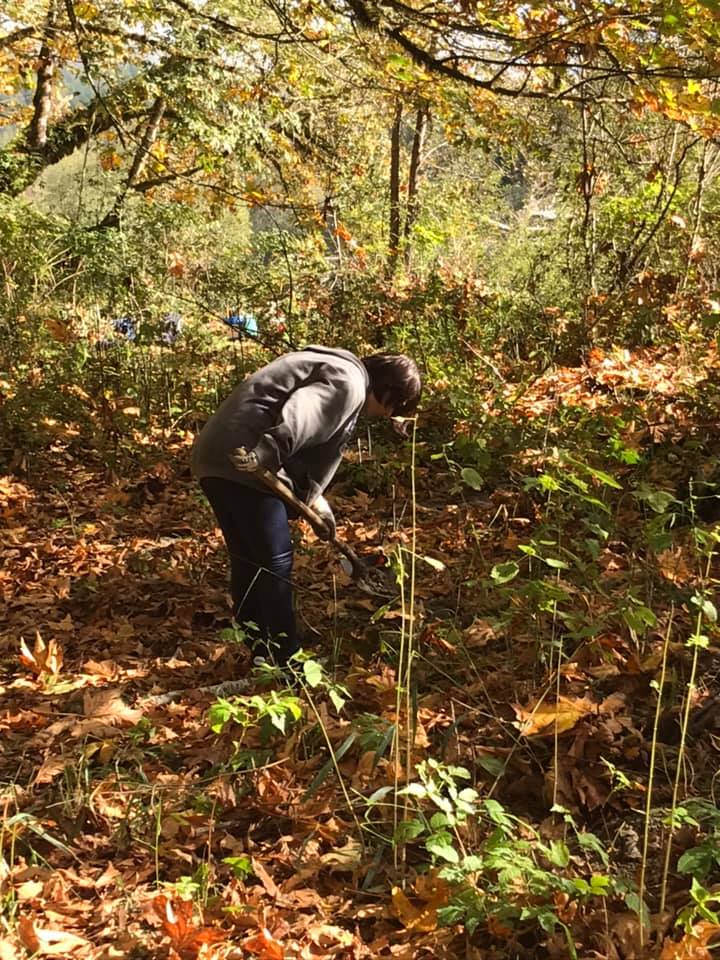 Volunteers plant native trees at Skagit River Khan Conservation Area during a workparty in 2018. Photograph credit: Skagit Land Trust staff.