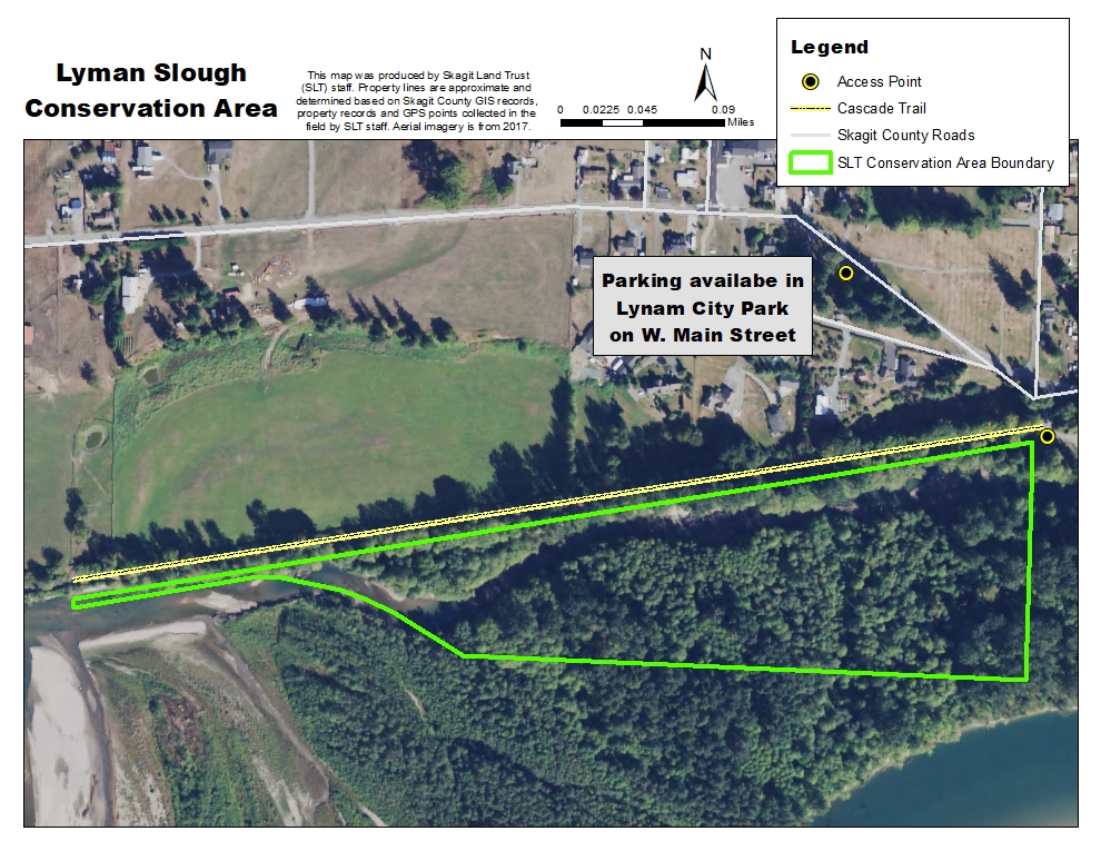 GIS map of Lyman Slough Conservation Area. Map credit: Skagit Land Trust staff.