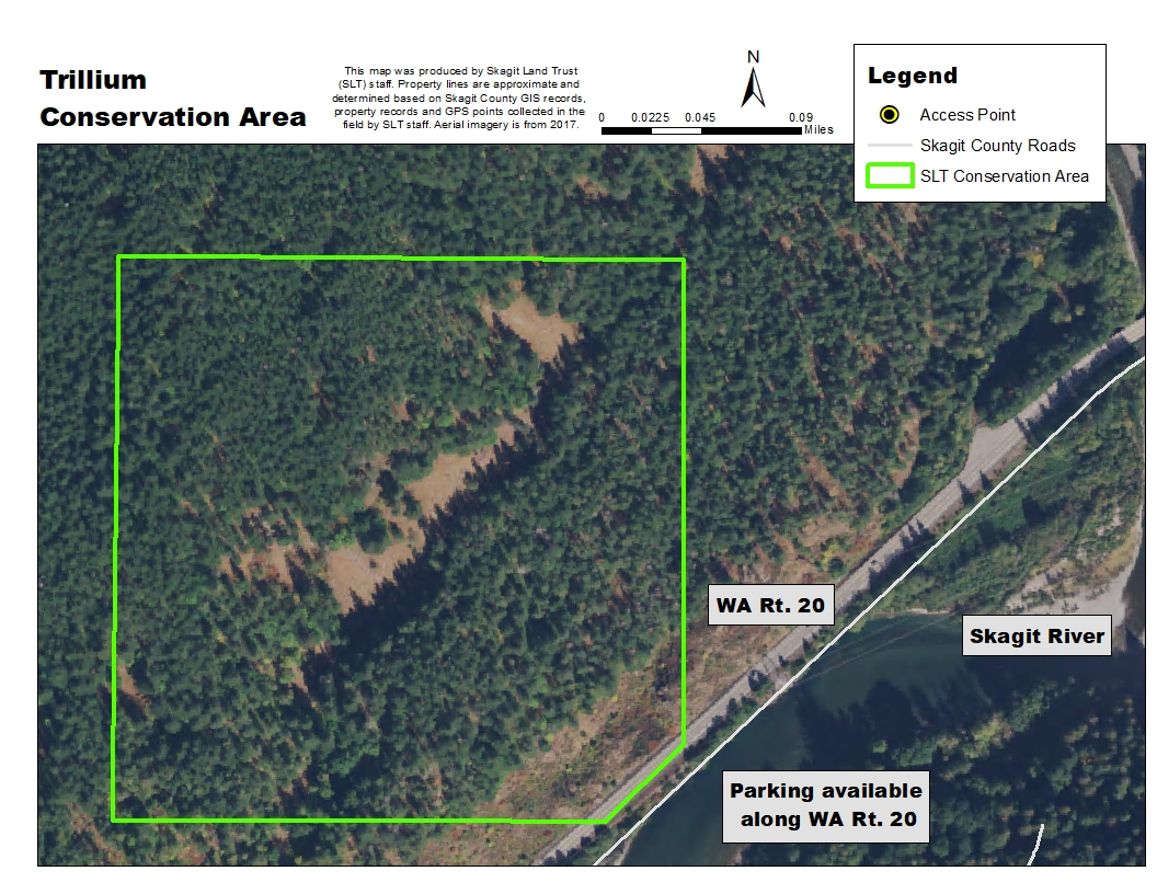 Aerial map of Trillium Conservation Area. Map created by Skagit Land Trust staff.