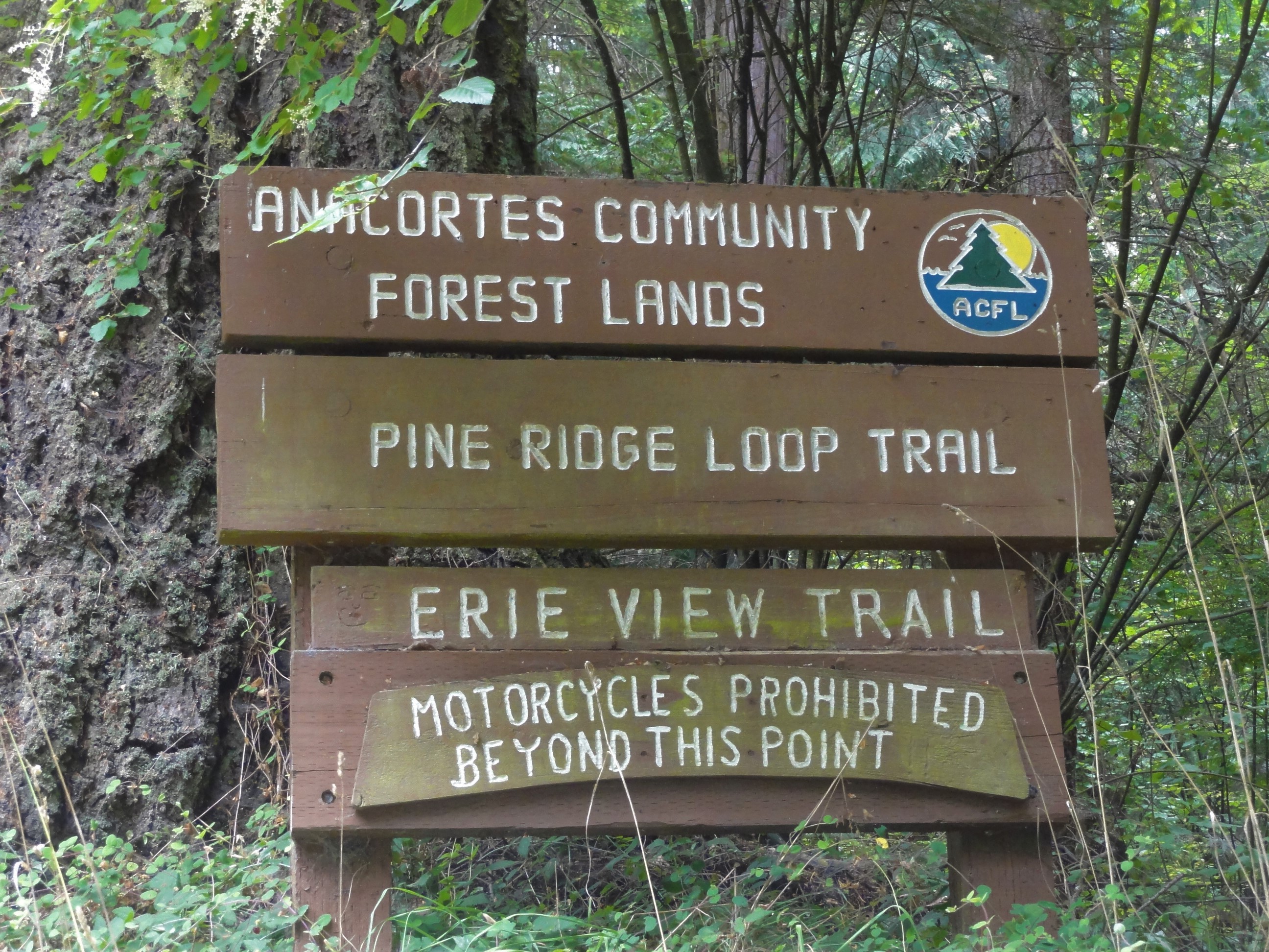The Pine Ridge loop is a popular trail in the Anacortes Community Forest Lands. Photograph credit: Skagit Land Trust staff.