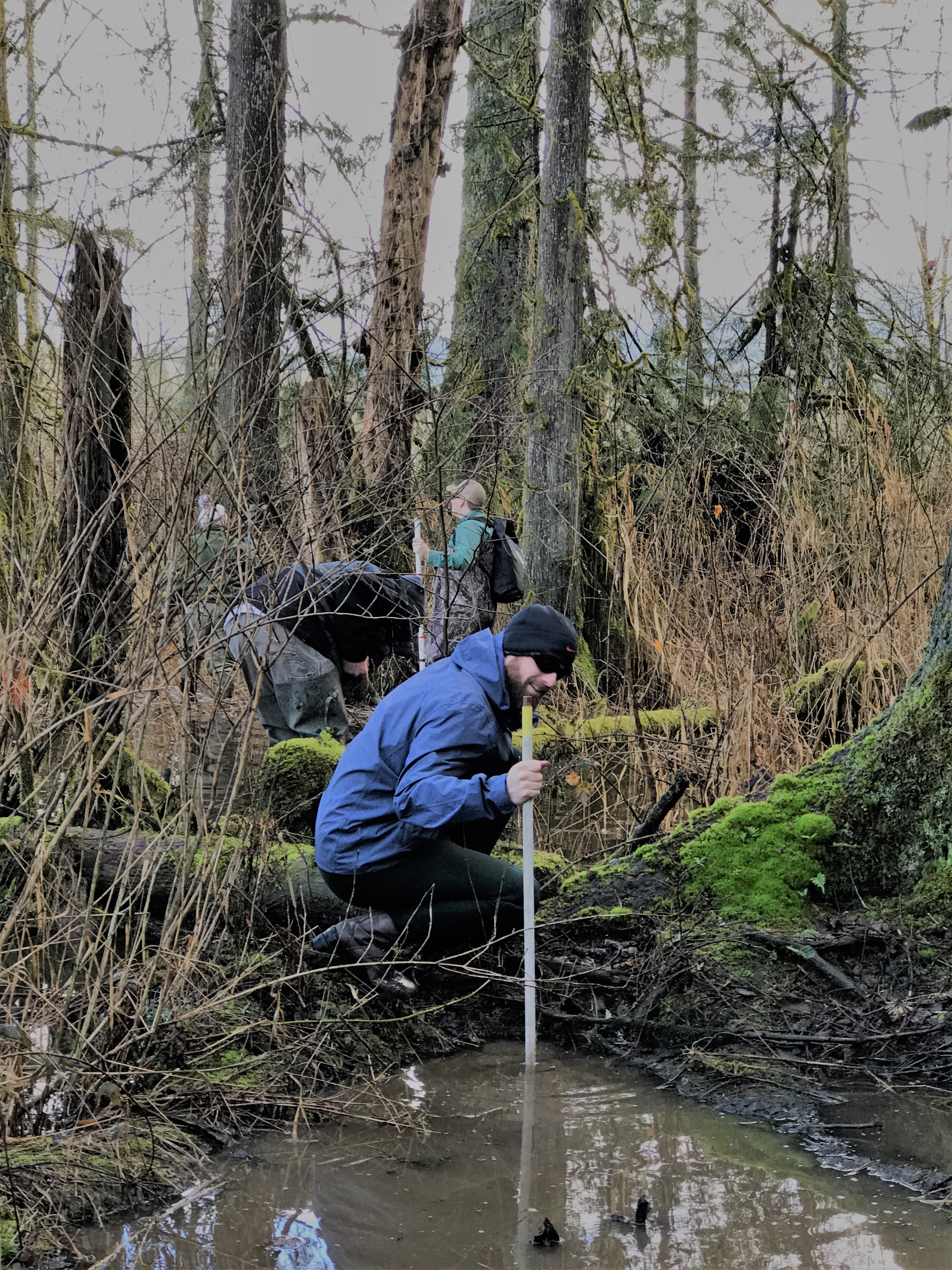 A volunteer measures water quality during amphibian monitoring project at Big Lake Wetlands Conservation Area, March 2018. Photograph credit: Skagit Land Trust staff.