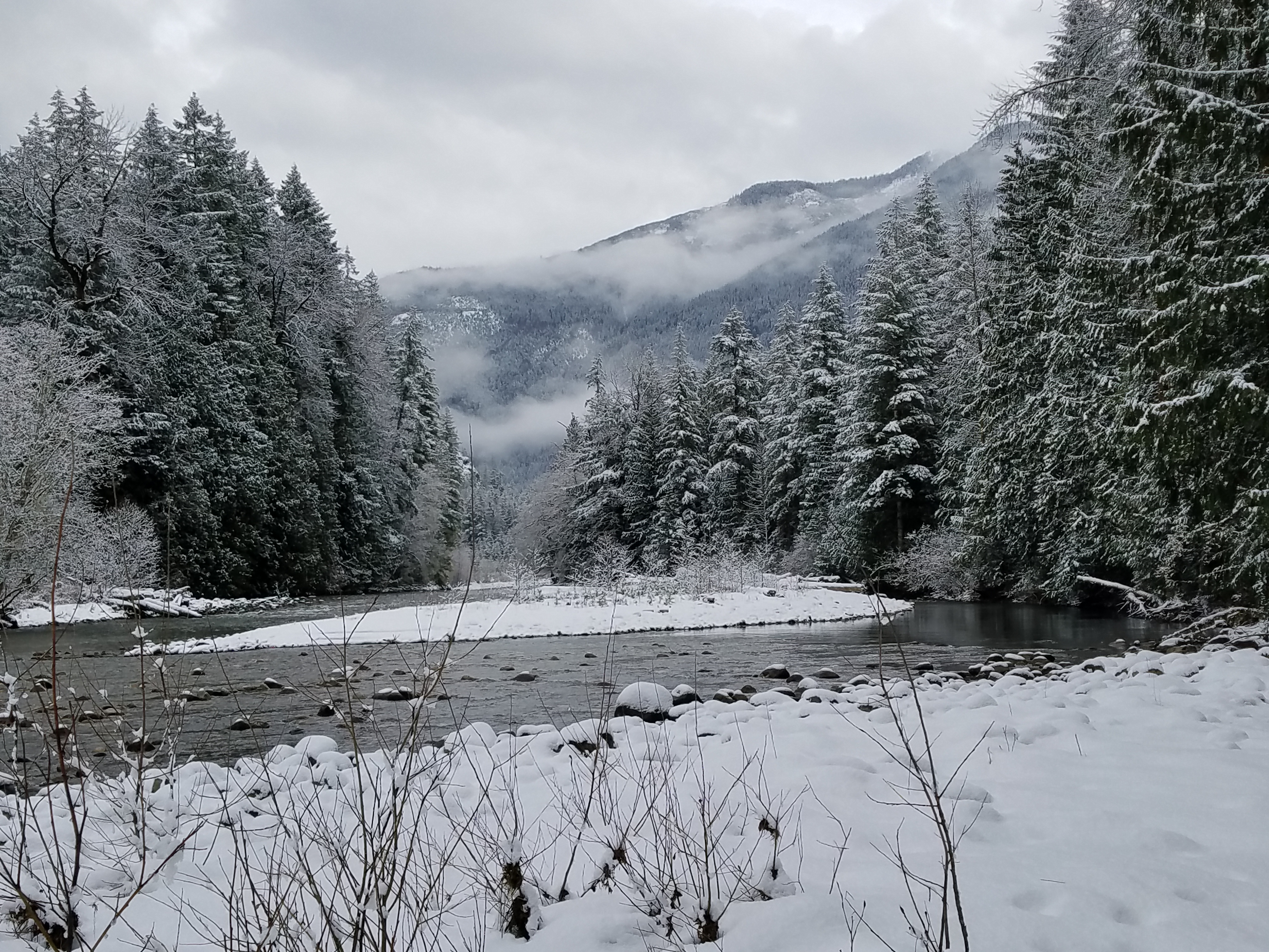 The Cascade River is a tributary of the Skagit River and drains mountains in North Cascades National Park. Photograph credit: Skagit Land Trust staff.