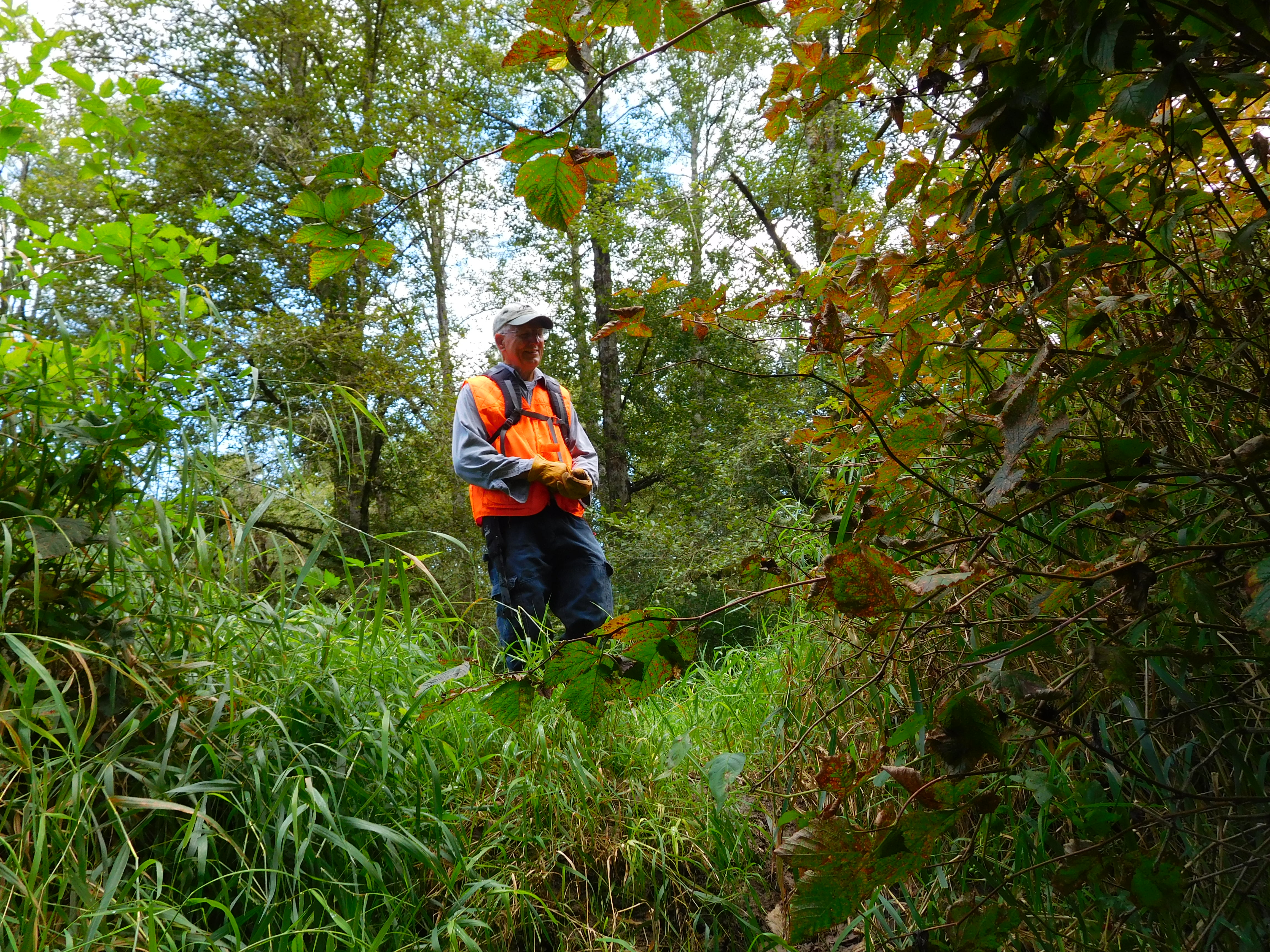 Volunteer land stewards are integral in managing Skagit Land Trust properties. Photograph credit: Skagit Land Trust staff.