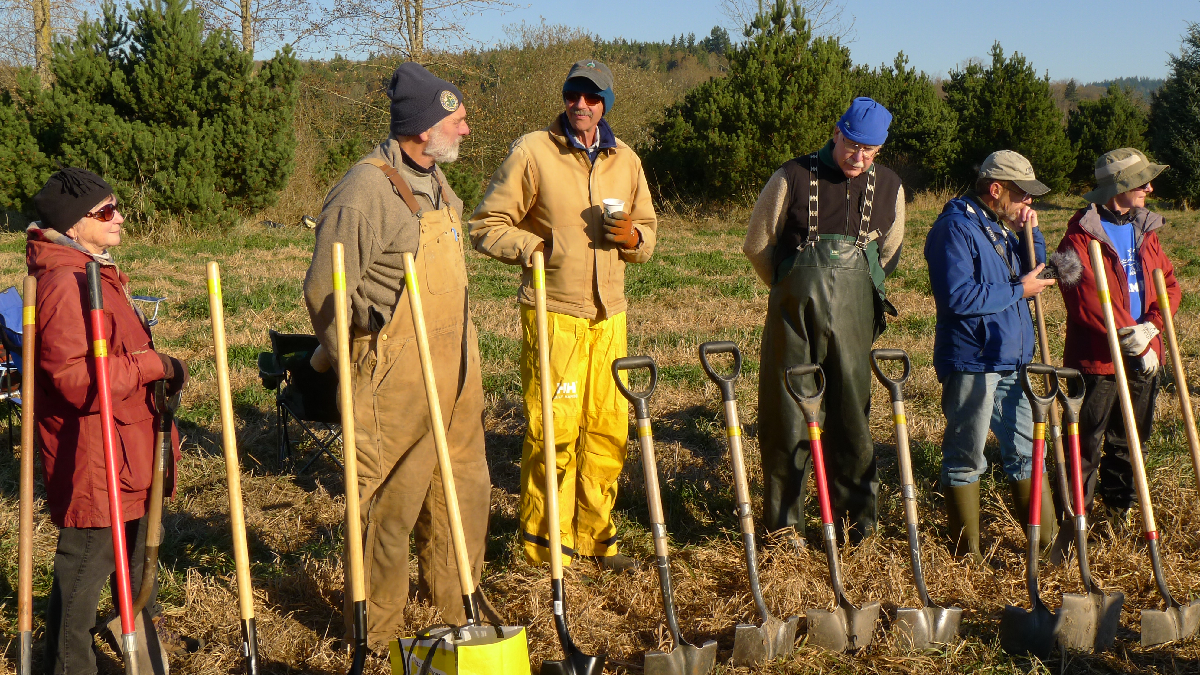 Volunteers with the Skagit Land Trust plant trees at the Green Road Marsh Conservation Area in November, 2014. Photograph credit: Skagit Land Trust staff. 