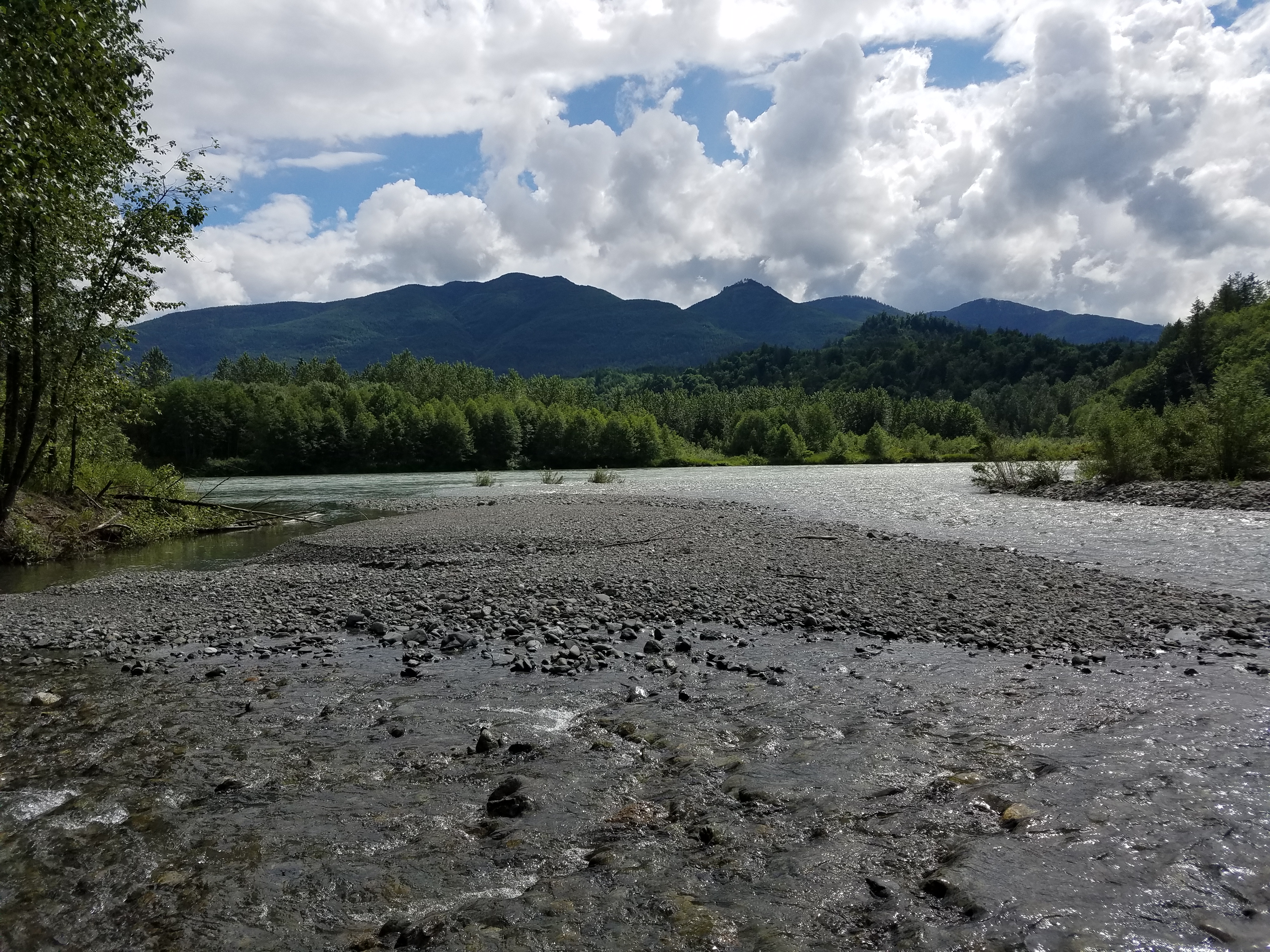 Jackman Creek Conservation Area preserves riparian habitat along the Skagit River. Photograph credit: Skagit Land Trust staff.