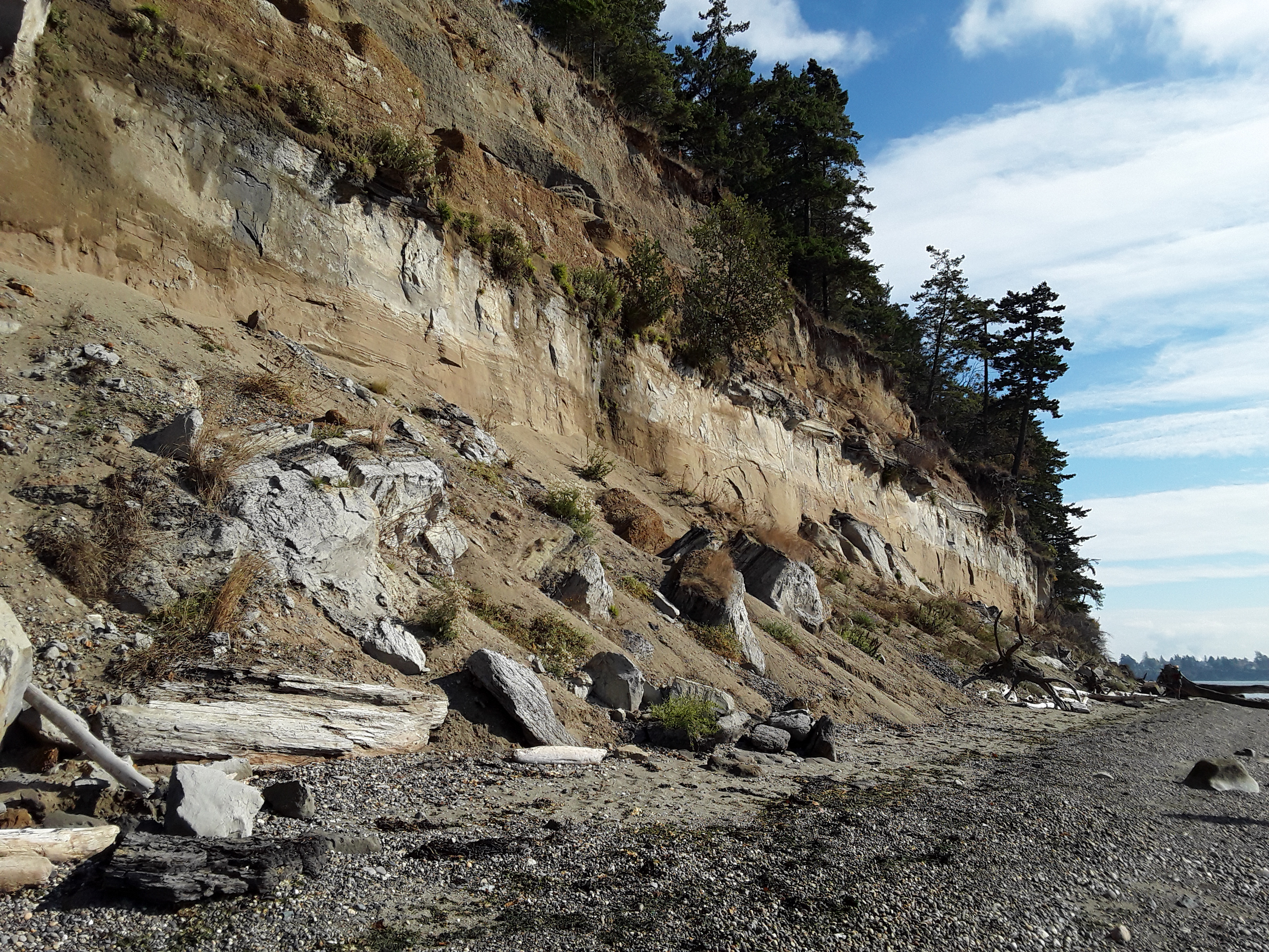 Kelly's Point Conservation Area exposes sediments deposited by glaciers tens of thousands of years old. Photograph credit: Skagit Land Trust staff.