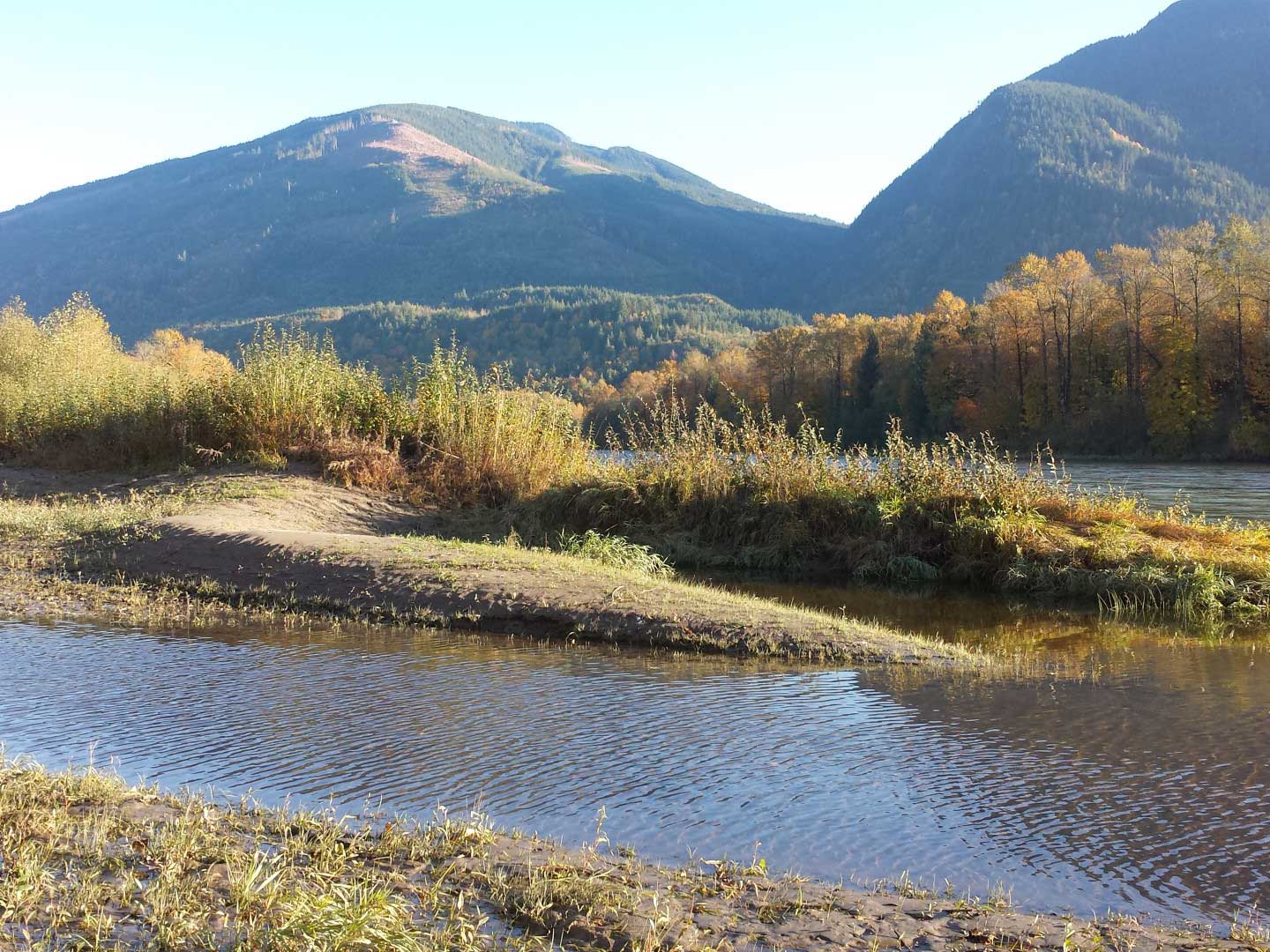 Muddy Creek Conservation Area protects shoreline habitat along the Skagit River. Photograph credit: Skagit Land Trust staff.
