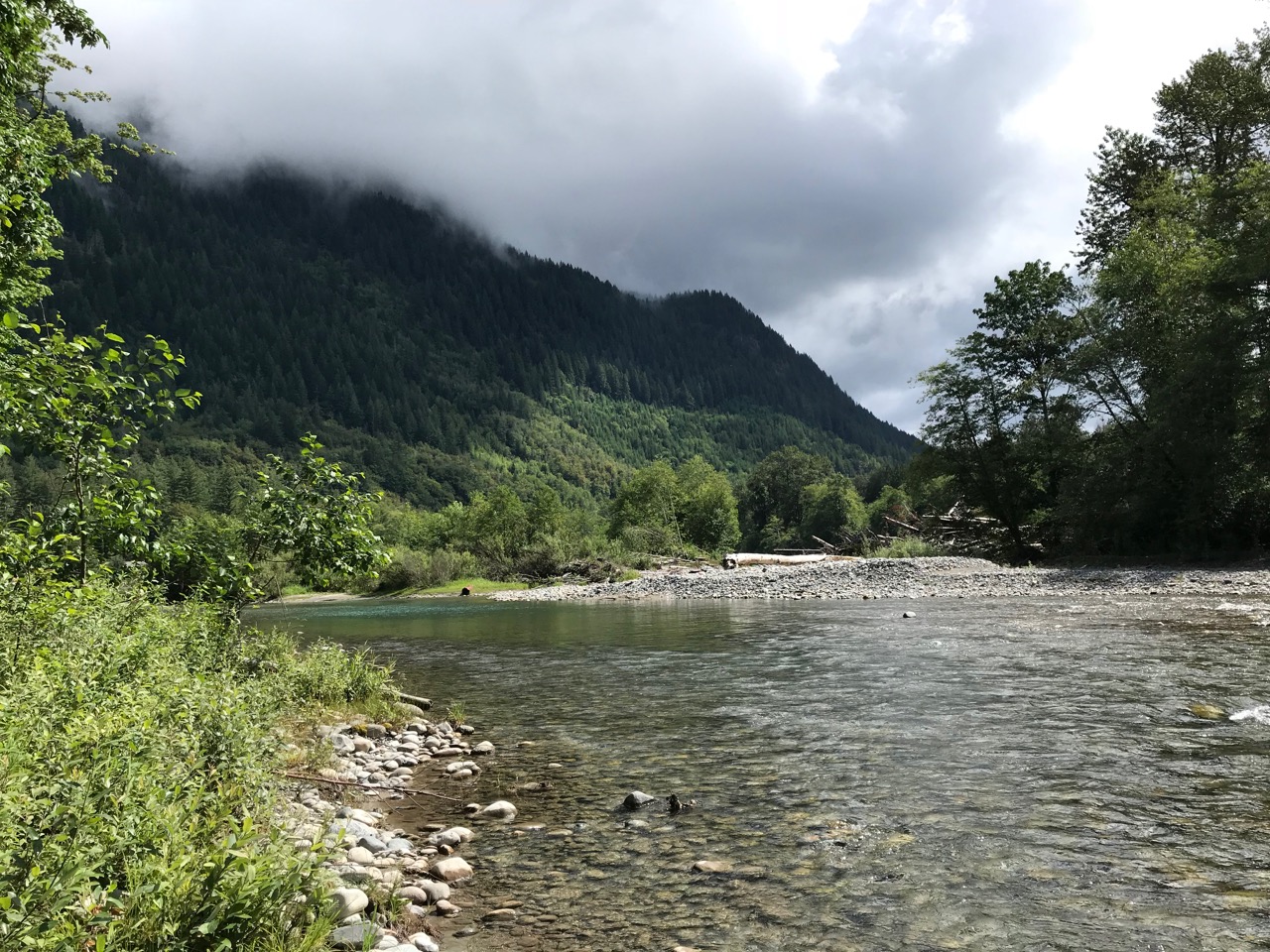 The Skagit River is a Federally designated Wild and Scenic River. Photograph credit: Skagit Land Trust staff.
