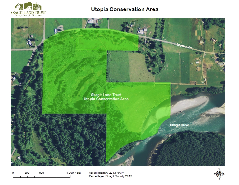 Map of Utopia Conservation Area, created using GIS by Skagit Land Trust staff.
