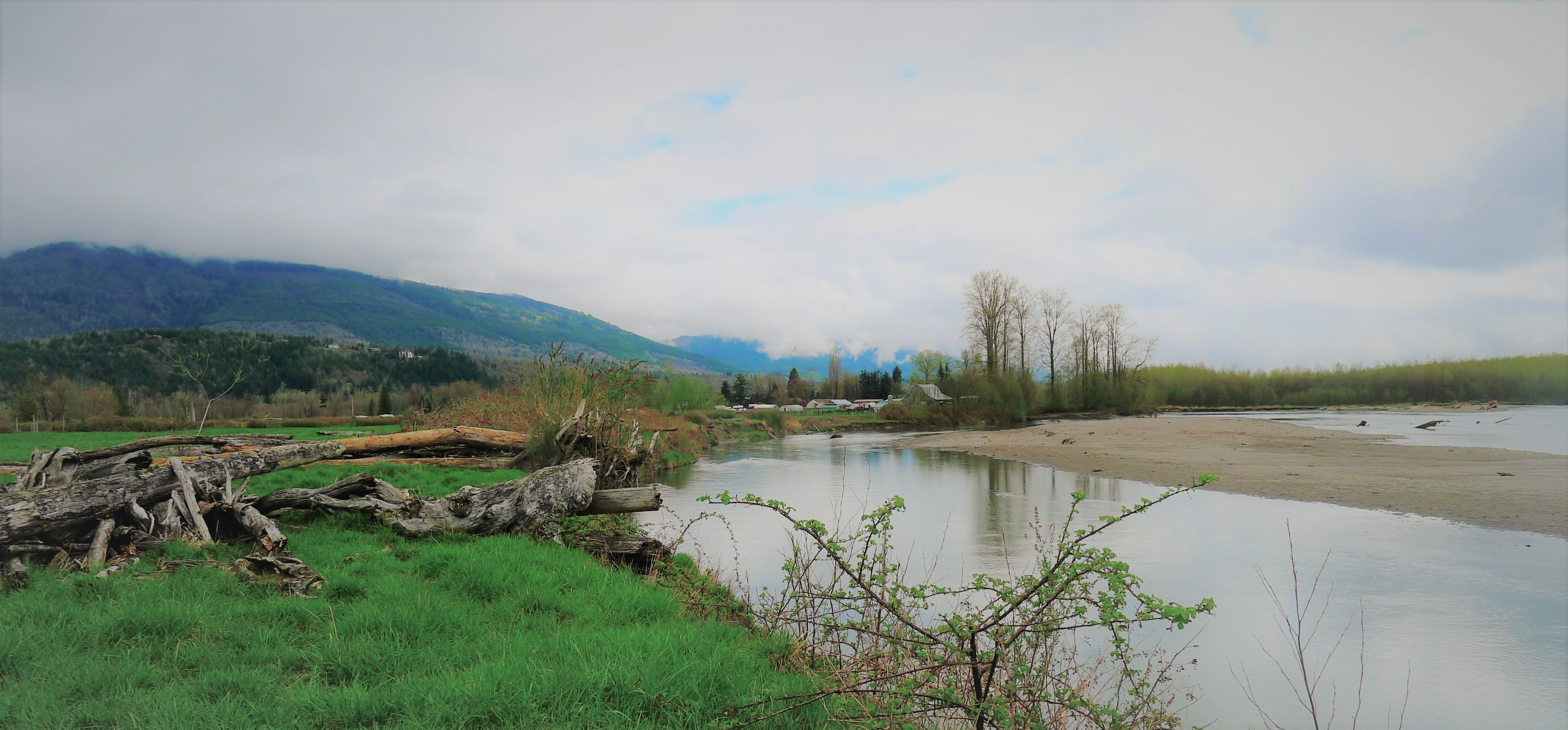 Utopia Conservation Area protects over 87 acres of creeks, wetlands and forested habitat along the Skagit River. Photograph credit: Skagit Land Trust staff.