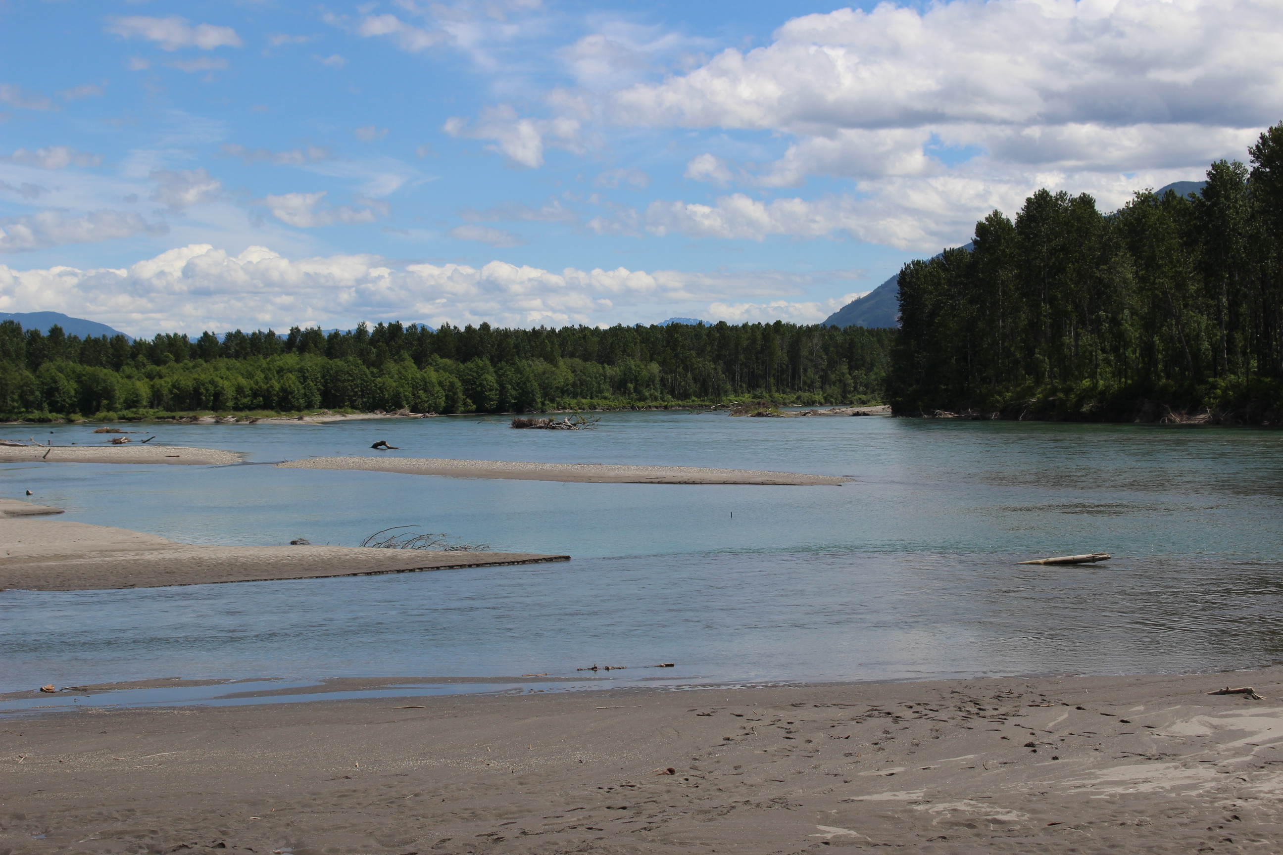 View of the Skagit River looking upstream, June 2018. Photograph credit: NCI staff.