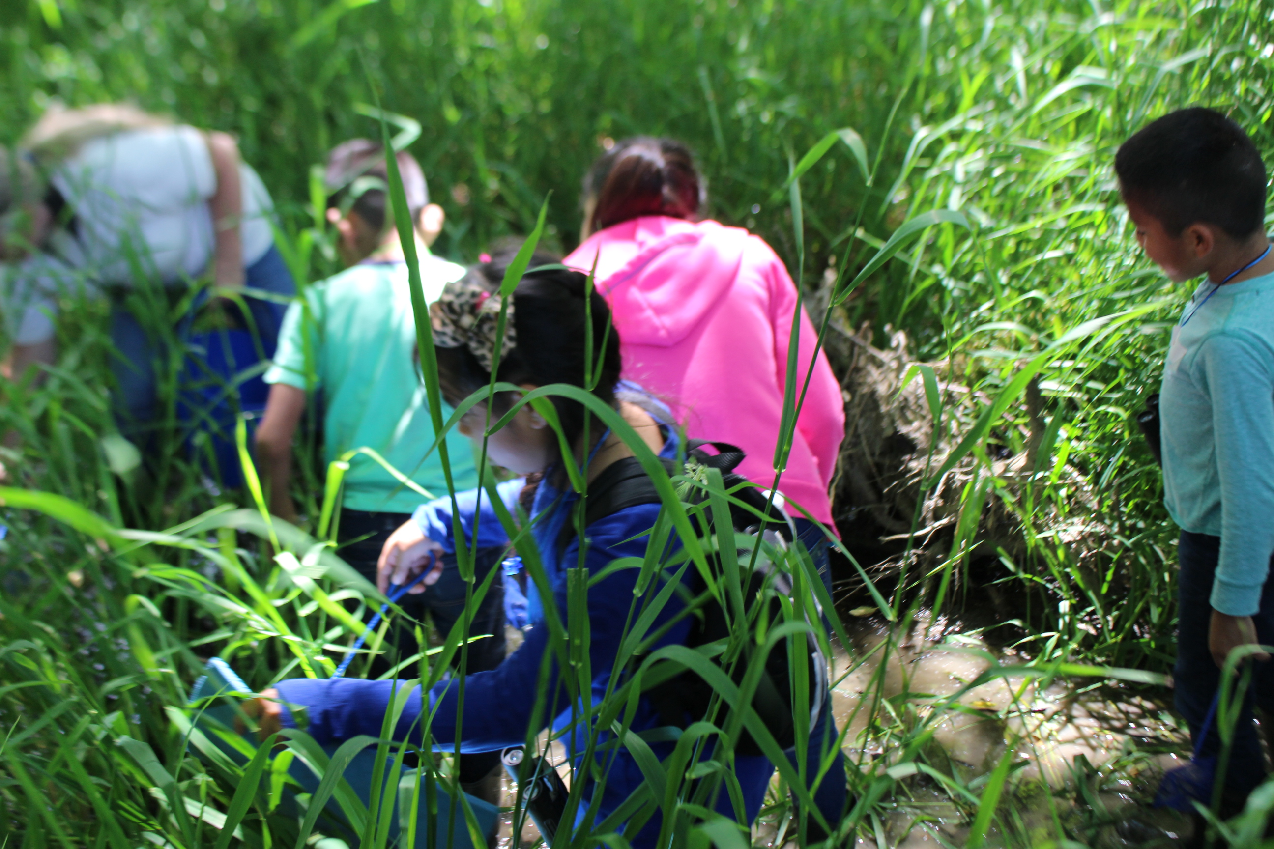 Youth in the Kulshan Creek Neighborhood program search for frogs in the wetlands of Utopia Conservation Area. Photograph credit: NCI staff.