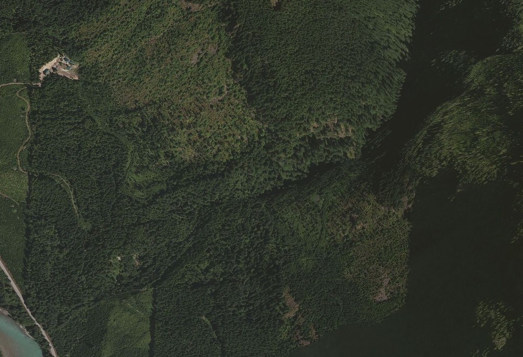 Above: Aerial map of White Creek Conservation Area taken in April 2013. Photograph credit: Unknown.