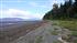 Samish Flower Farm Beach