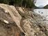 Live Fascine and erosion control fabric installed along the Sauk River. The large pieces of concrete are from an old home foundation that was removed before Skagit Land Trust’s involvement.