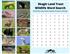 Land Trust News - Skagit Land Trust