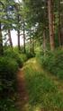 Trail to Beach