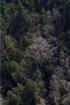 AerialViewofHeronry