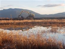 Samish Bay Dike Repair