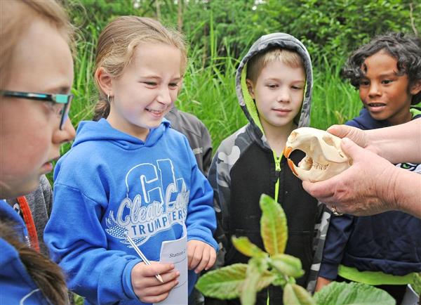 Engaging Youth in Conservation