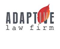 Adaptive Law Firm