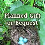 Making a planned gift or bequest