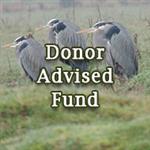 Click to learn about giving through a Donor Advised Funds
