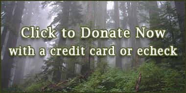 Donate TRUUsT