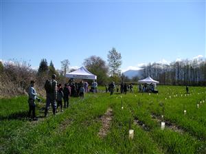 2014 Festival of frogs-plantings
