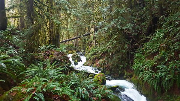 Barr Creek Conservation Area