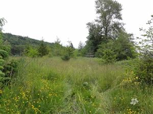 Minkler's planted upper field