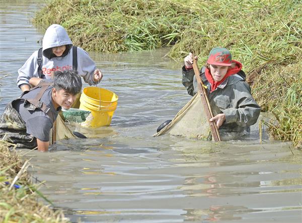 Students from Emerson High School participate in salmon restoration project on Trumpeter Creek. Photograph credit: Skagit Land Trust staff.